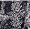 Cabbage Palm w/ Fern & Oak - 18x24"
