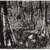 Cypress Swamp - 18x24"