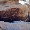 Petroglyphs are found throughout the park.